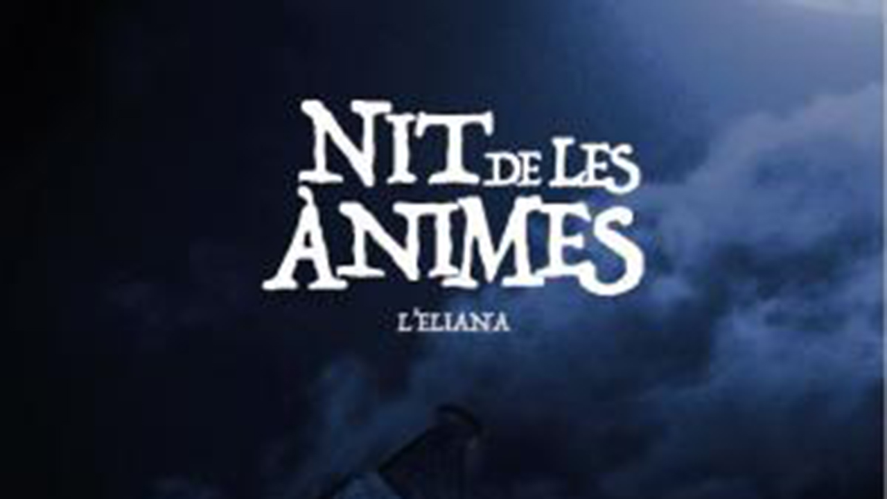 nit_animes2