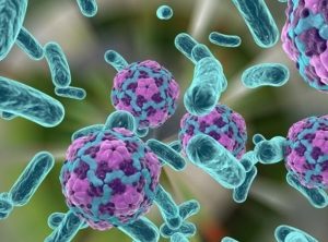 AL VOLTANT DE LA CIÈNCIA: 'EL APASIONANTE MUNDO DE LAS HECES' @ Sala de Debat Pep Torrent