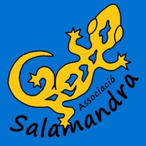 EXPOSICIÓ DE TALLERS DE L'ASSOCIACIÓ SALAMANDRA @ Centre Sociocultural