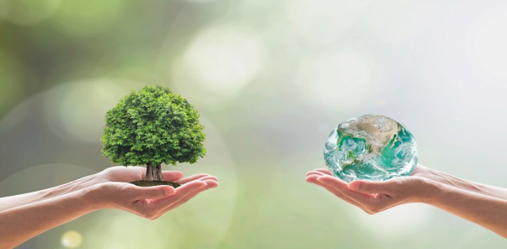 laeliana.tv-cambio-climatico-para-amantes-del-medio-ambiente